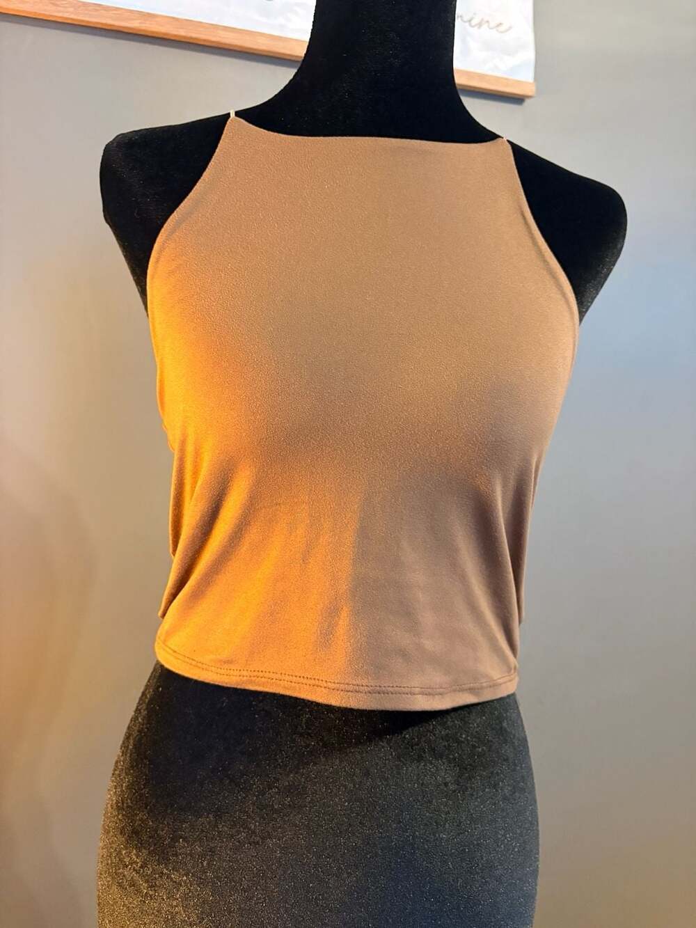Gaze Women's Brown High Neck Sleeveless Crop Tank Top
